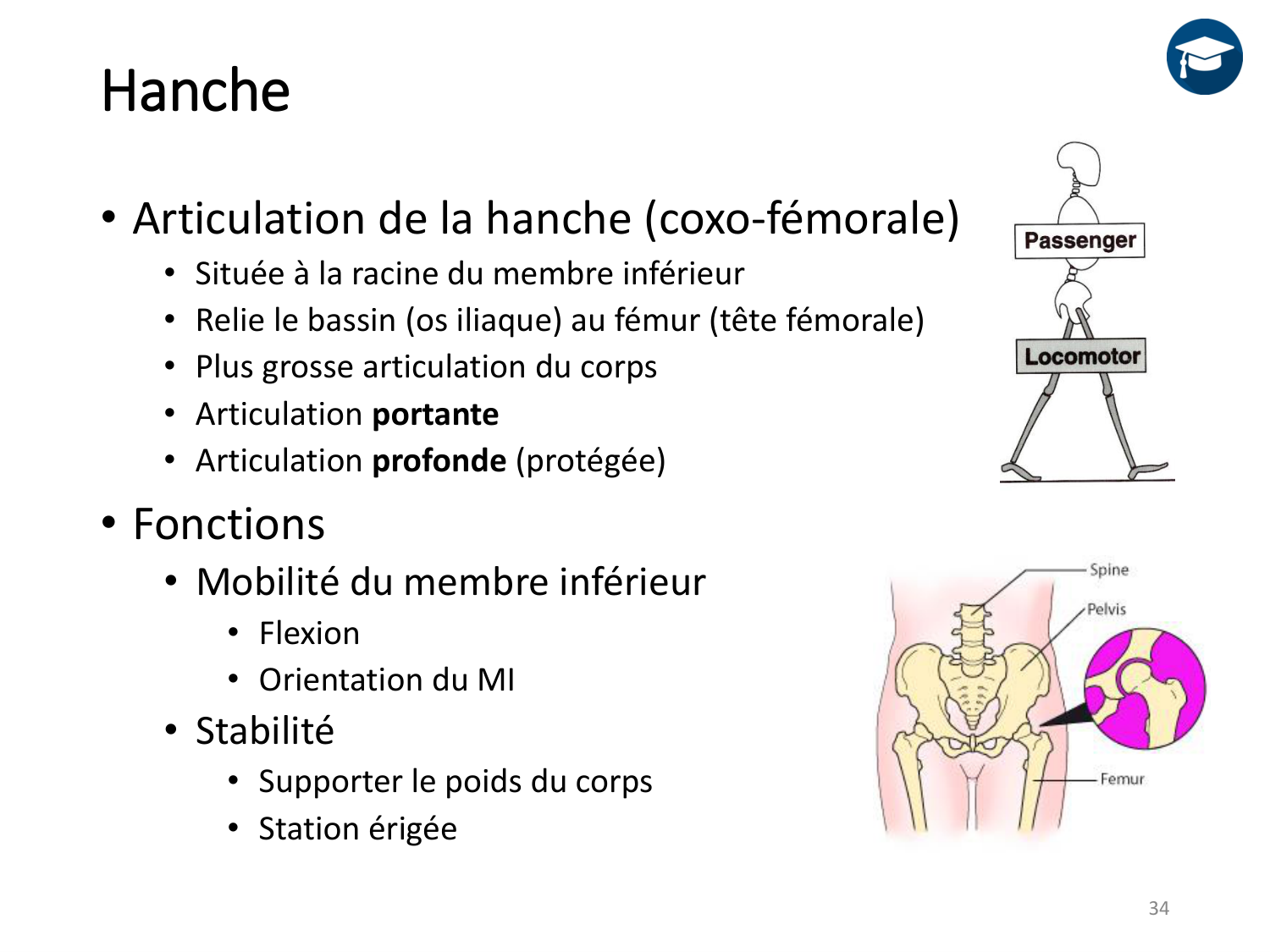 4-BiomecaniqueDuMembreInferieur-2026 page 34