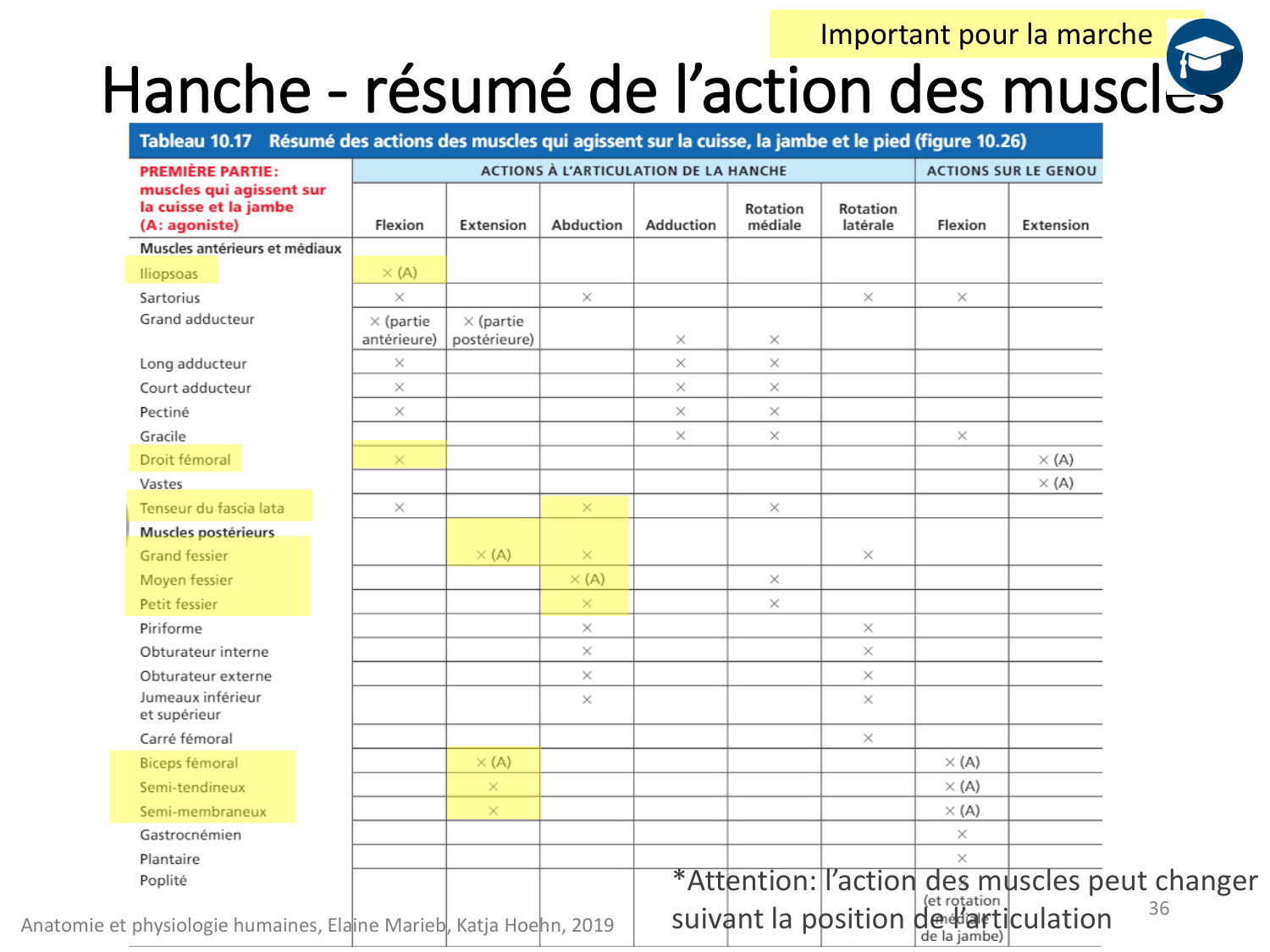 4-BiomecaniqueDuMembreInferieur-2026 page 36