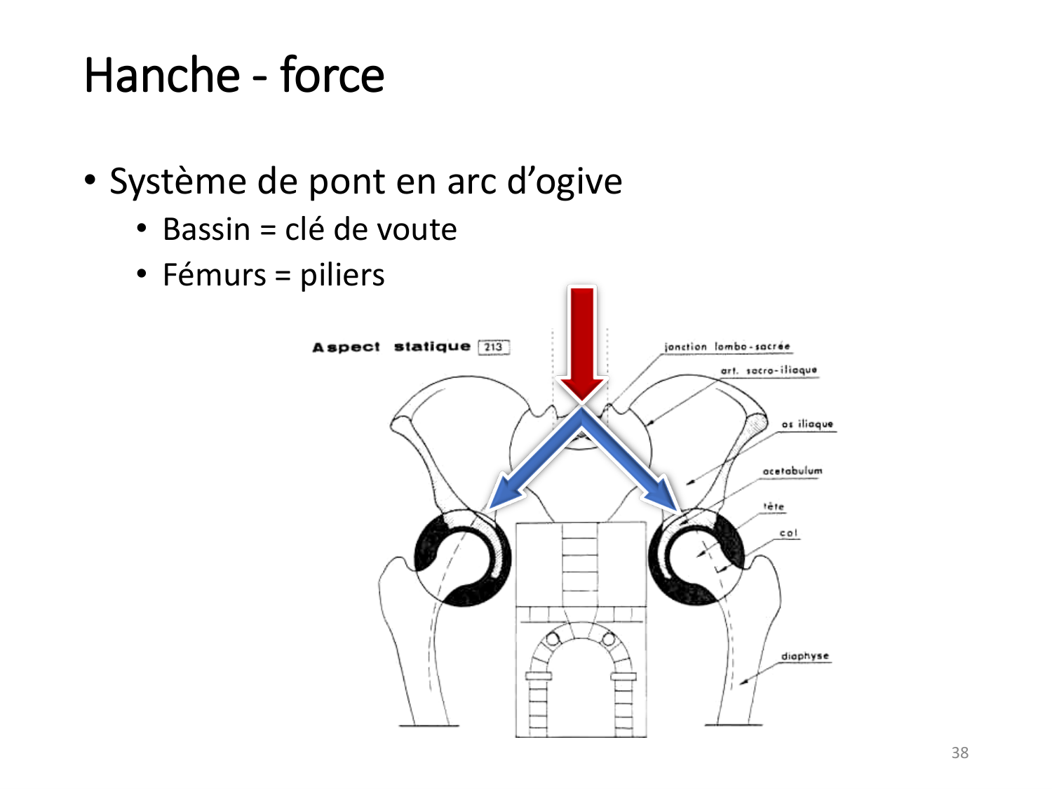 4-BiomecaniqueDuMembreInferieur-2026 page 38