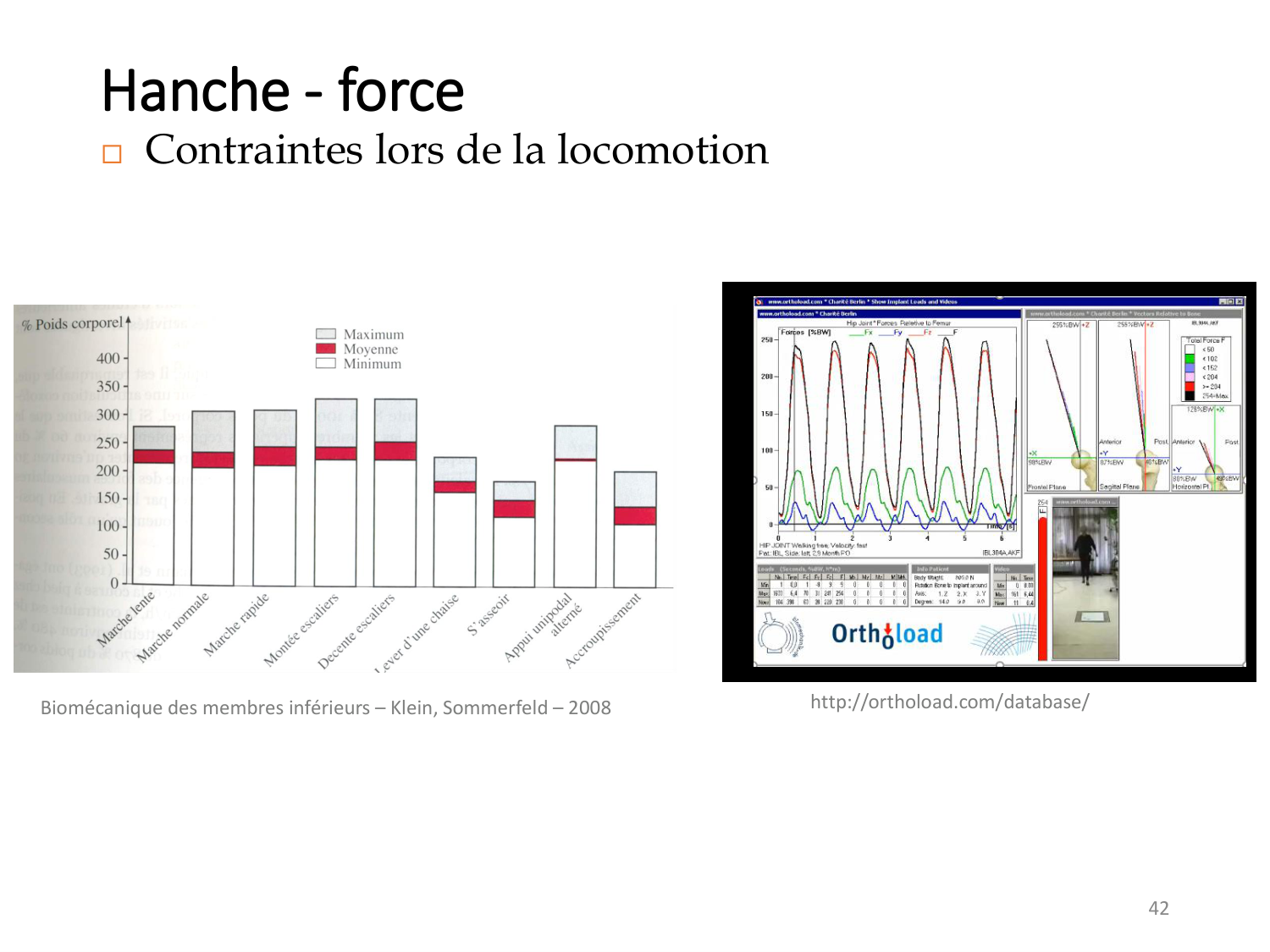 4-BiomecaniqueDuMembreInferieur-2026 page 41