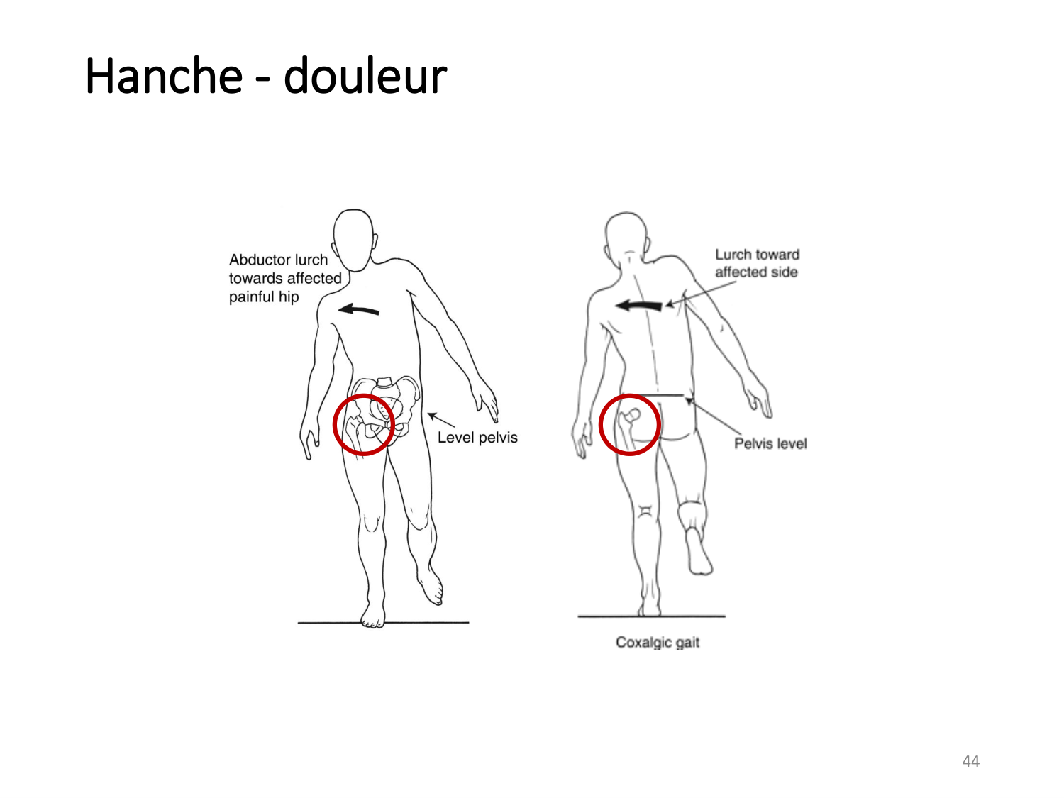4-BiomecaniqueDuMembreInferieur-2026 page 43
