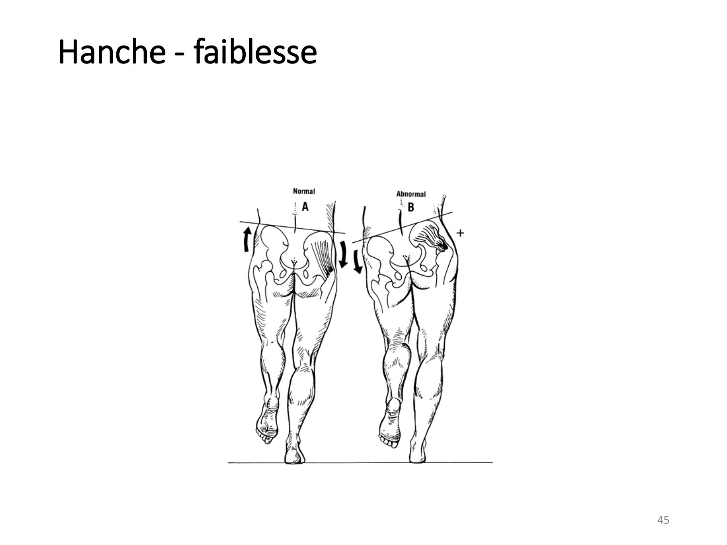 4-BiomecaniqueDuMembreInferieur-2026 page 44