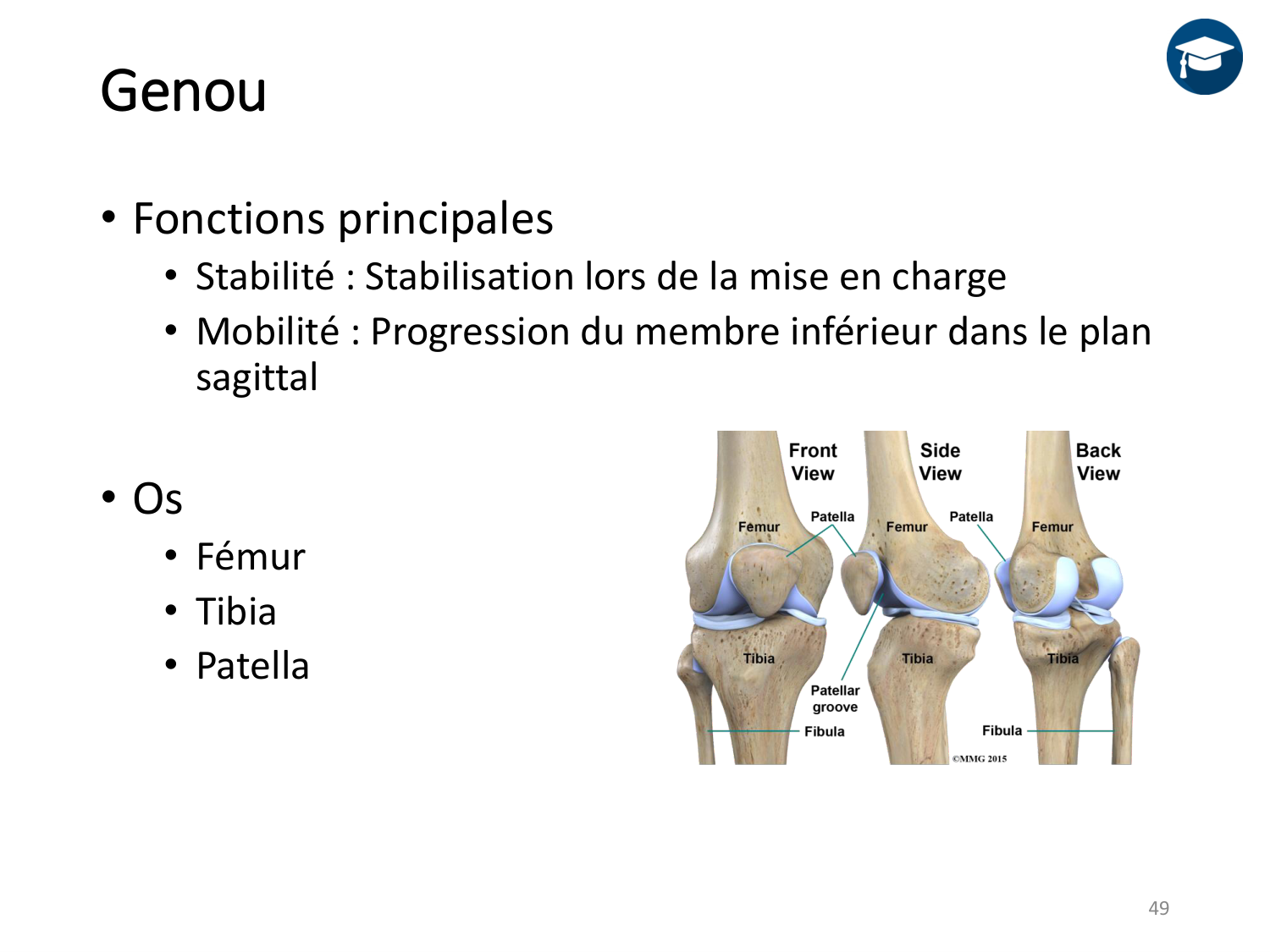 4-BiomecaniqueDuMembreInferieur-2026 page 48