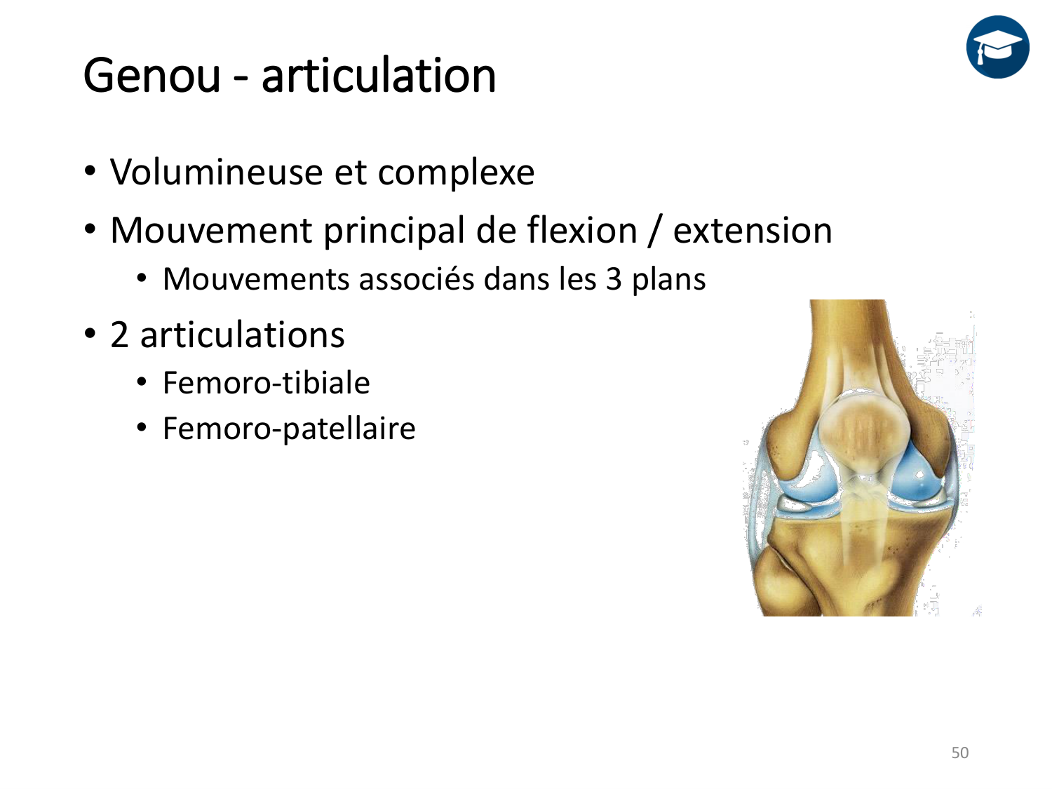 4-BiomecaniqueDuMembreInferieur-2026 page 49