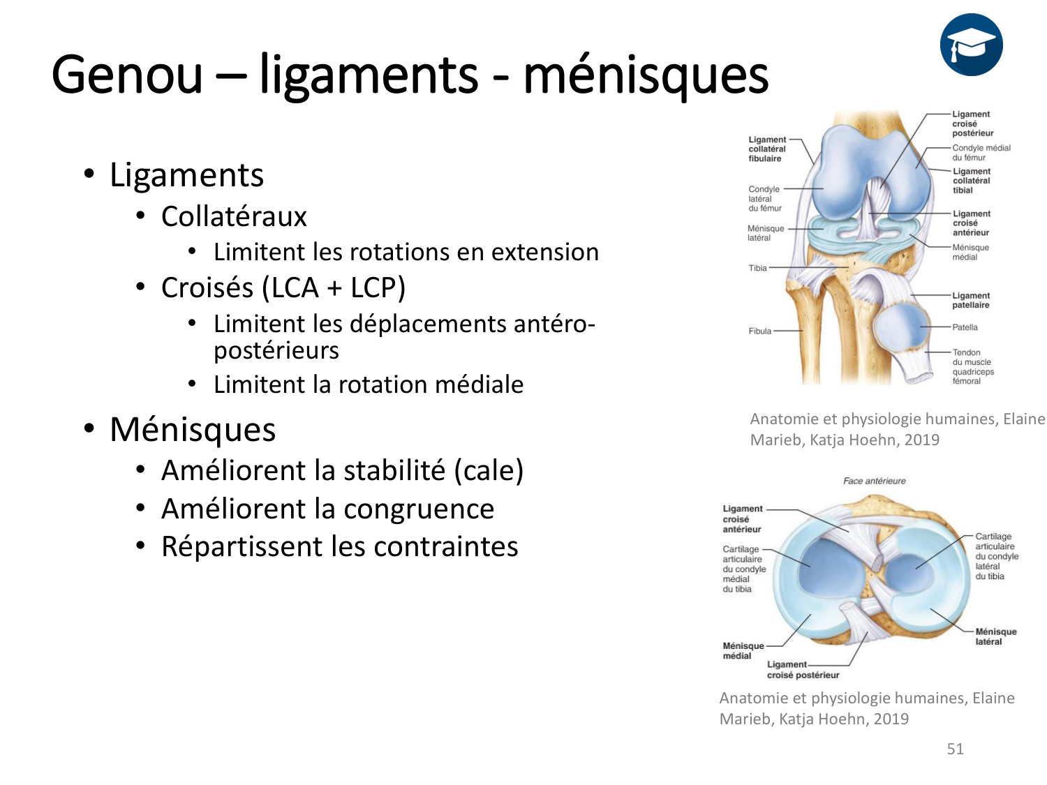4-BiomecaniqueDuMembreInferieur-2026 page 50