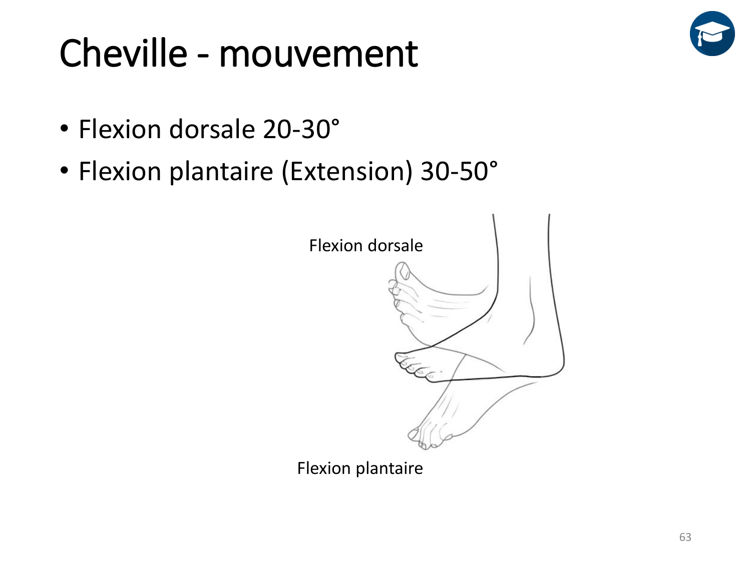 4-BiomecaniqueDuMembreInferieur-2026 page 62