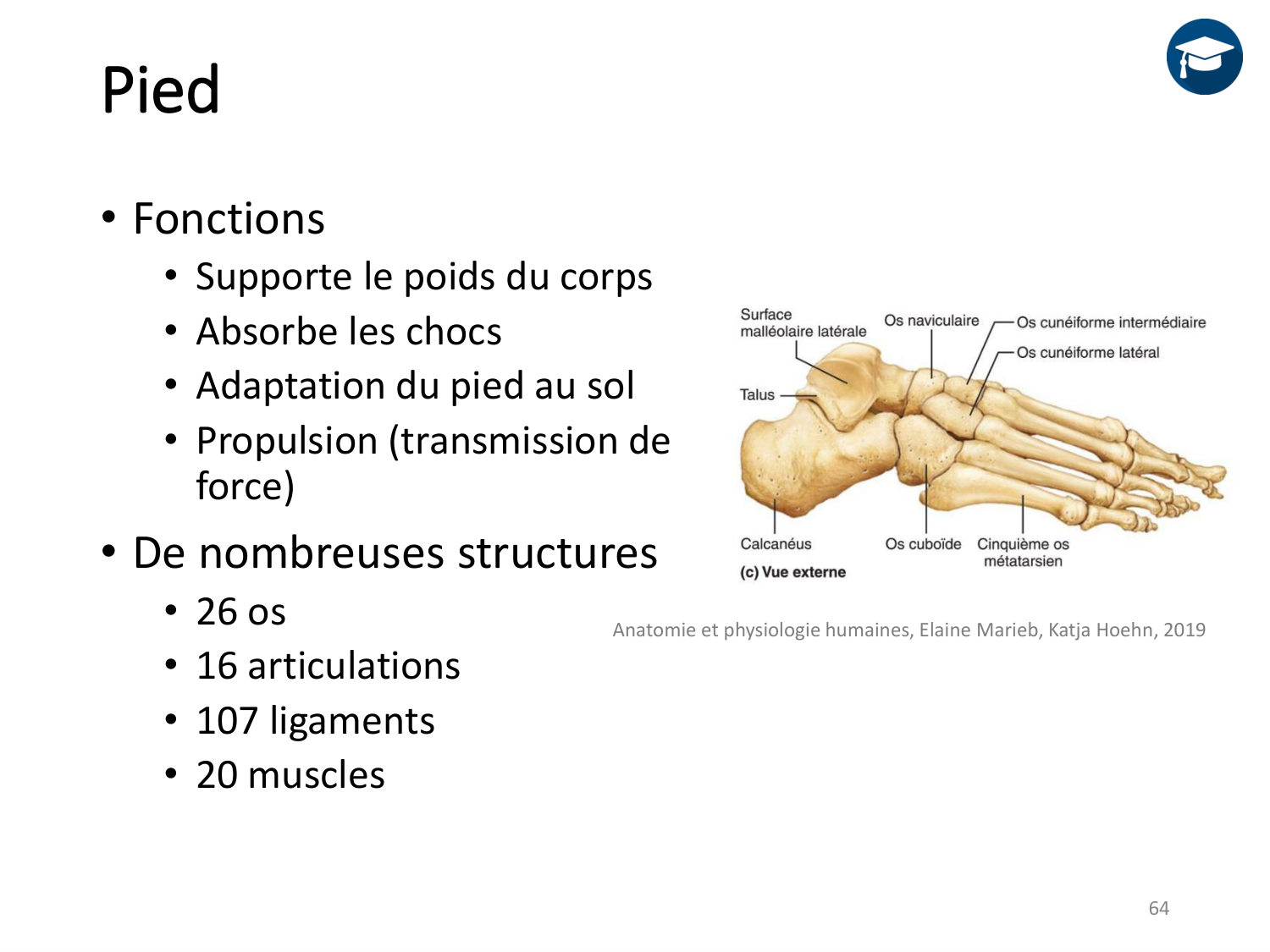 4-BiomecaniqueDuMembreInferieur-2026 page 63