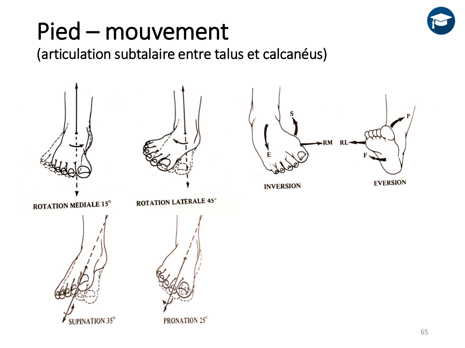 4-BiomecaniqueDuMembreInferieur-2026 page 64