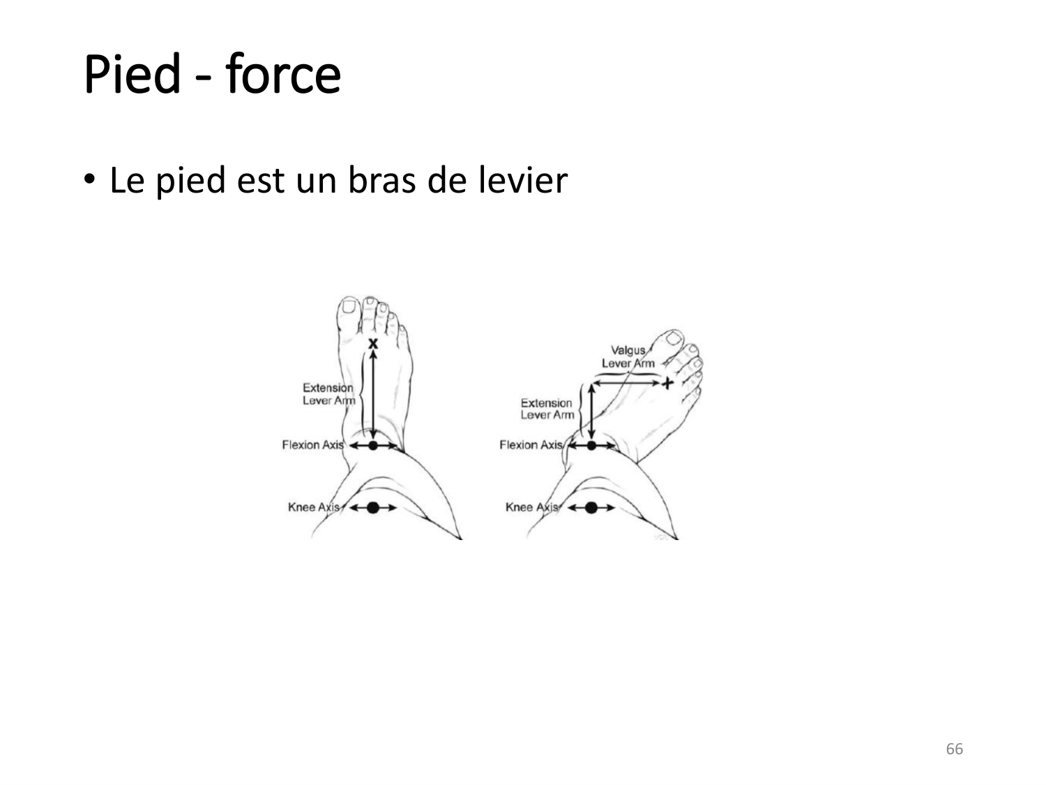 4-BiomecaniqueDuMembreInferieur-2026 page 65
