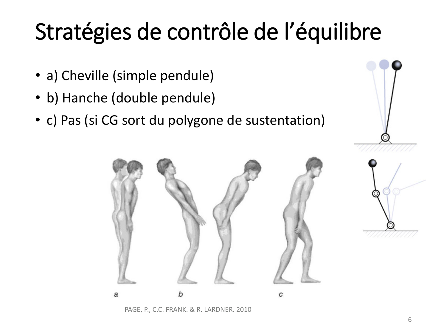 5-PhysiologieBiomecaniqueLocomotion-2026 page 6