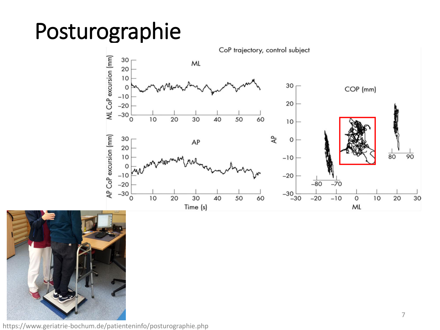 5-PhysiologieBiomecaniqueLocomotion-2026 page 7