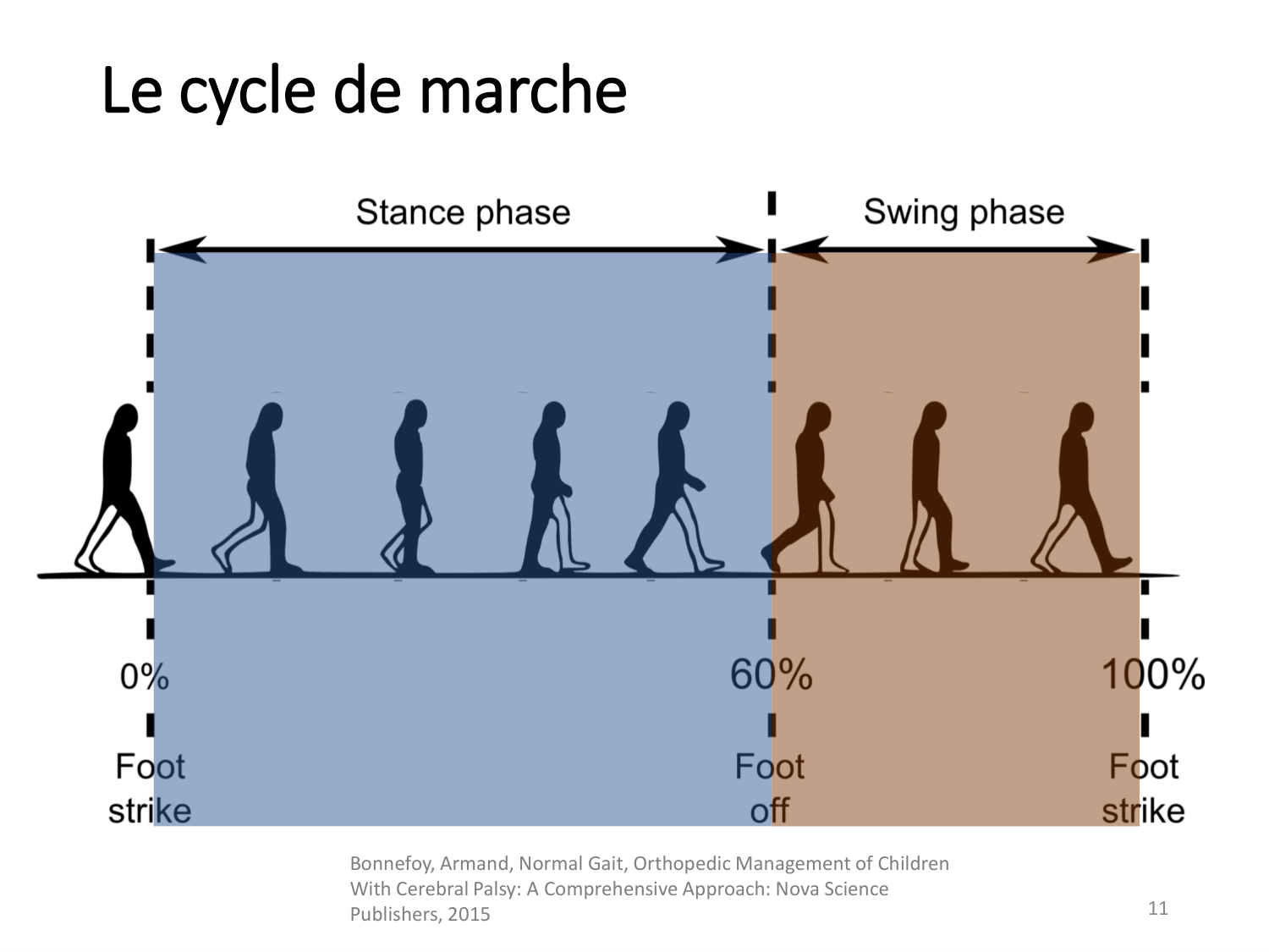 5-PhysiologieBiomecaniqueLocomotion-2026 page 11