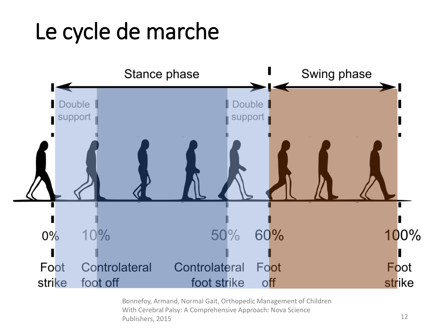 5-PhysiologieBiomecaniqueLocomotion-2026 page 12