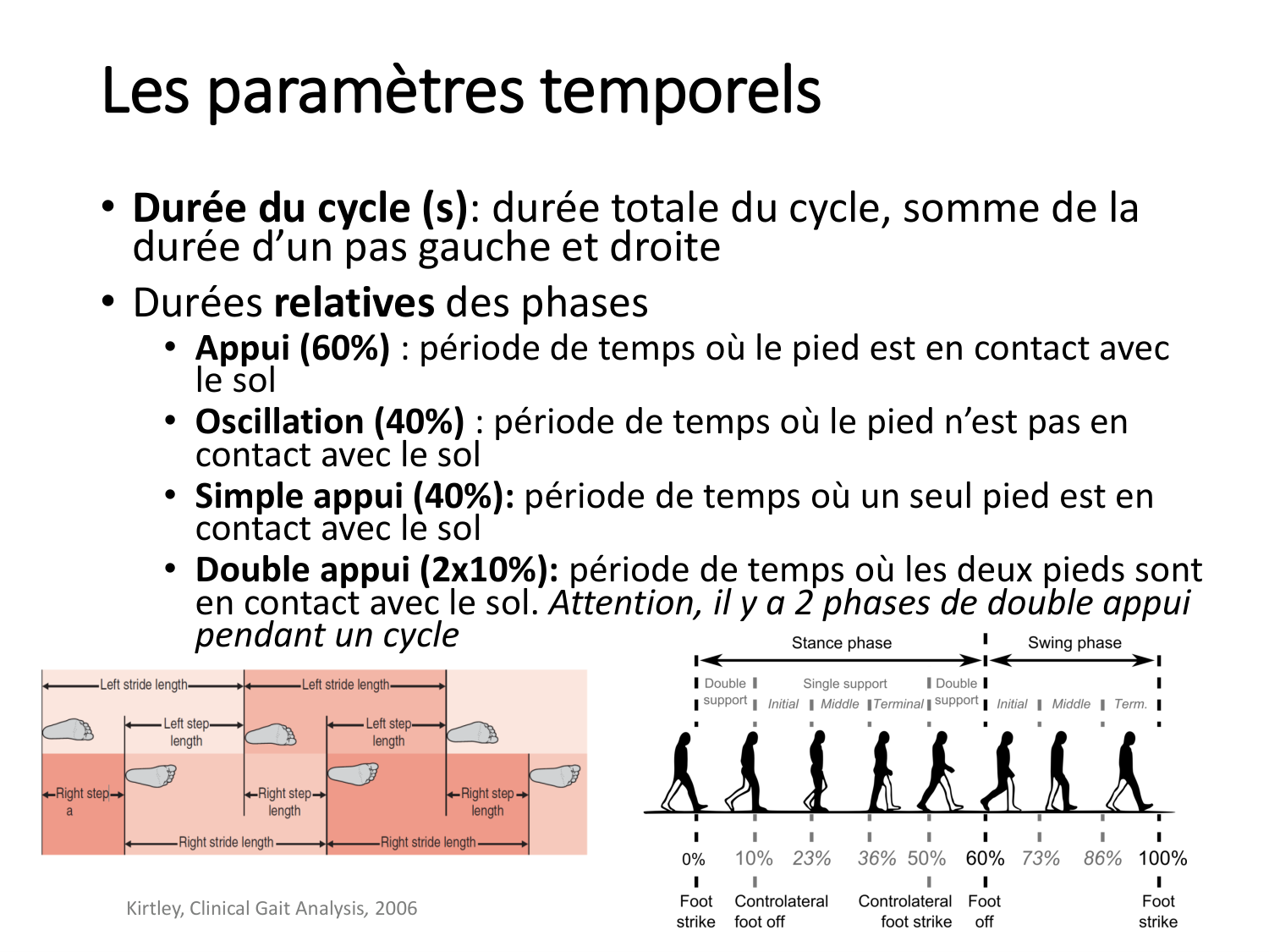 5-PhysiologieBiomecaniqueLocomotion-2026 page 14
