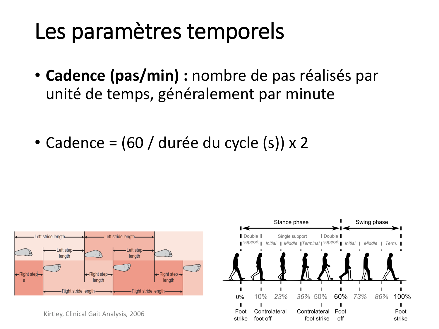 5-PhysiologieBiomecaniqueLocomotion-2026 page 15