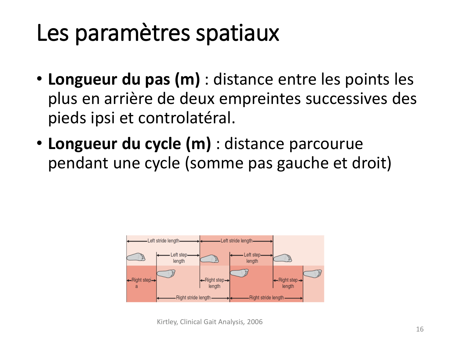 5-PhysiologieBiomecaniqueLocomotion-2026 page 16
