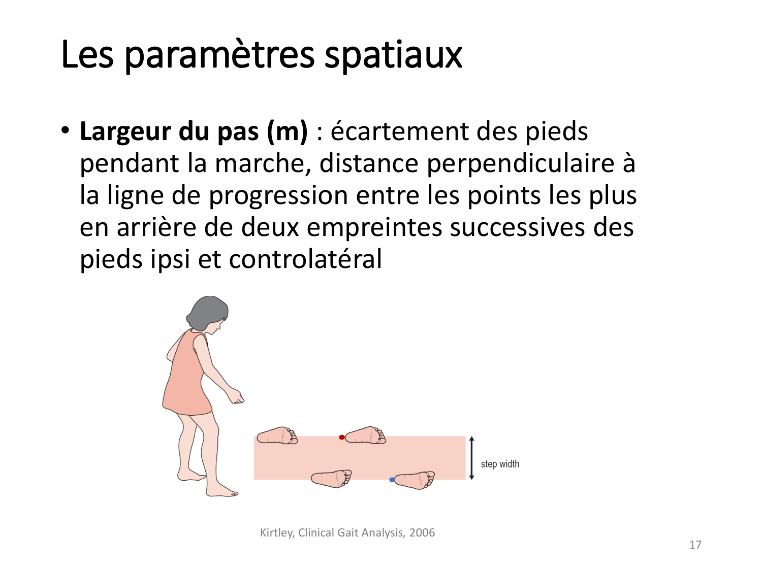 5-PhysiologieBiomecaniqueLocomotion-2026 page 17
