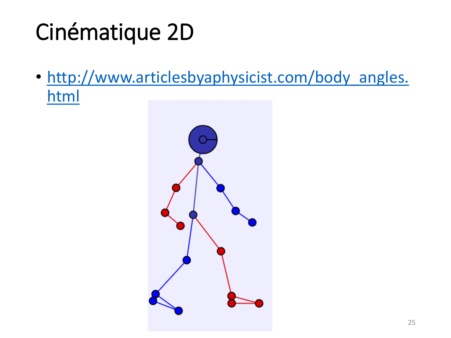 5-PhysiologieBiomecaniqueLocomotion-2026 page 25