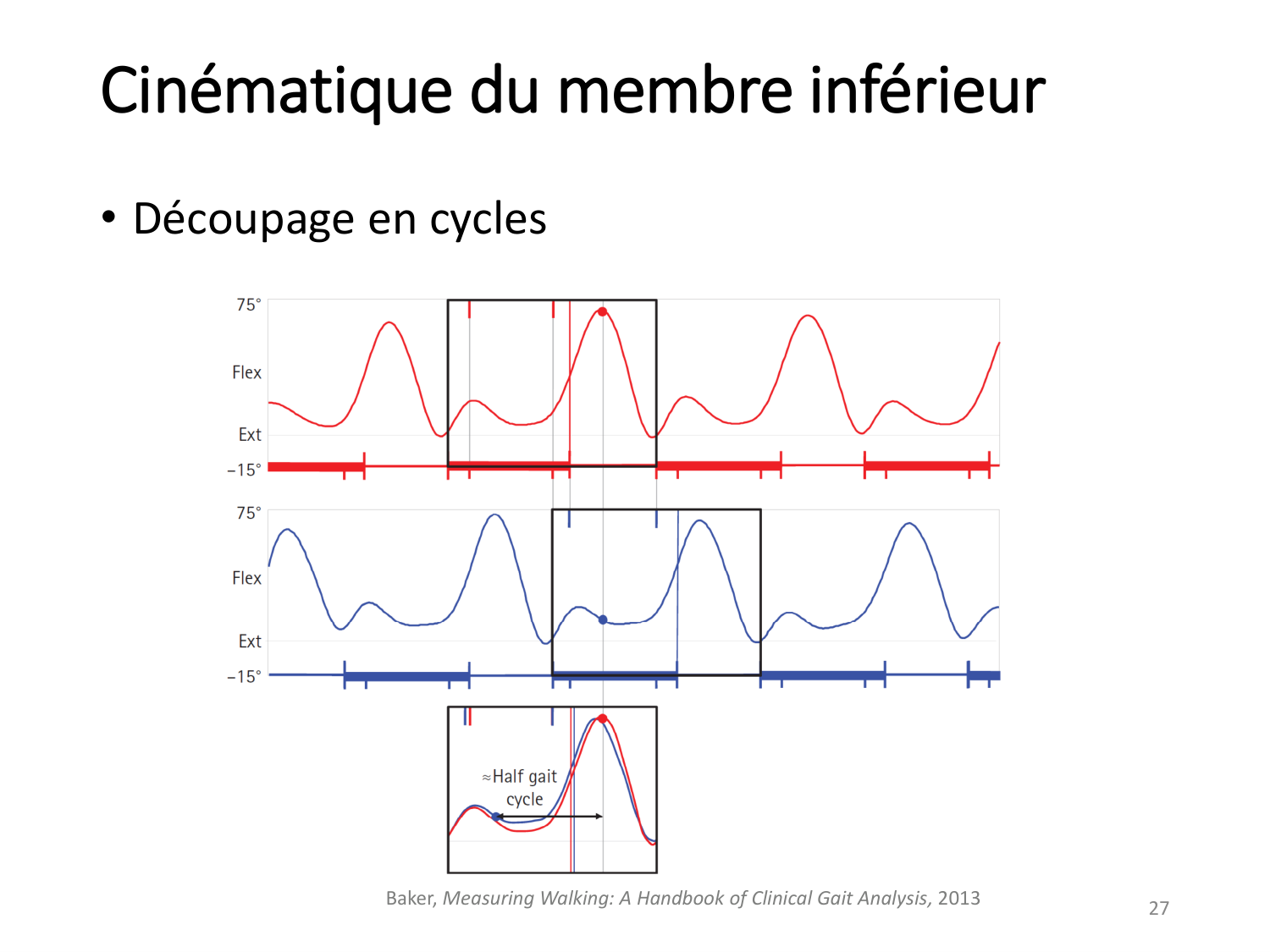 5-PhysiologieBiomecaniqueLocomotion-2026 page 27