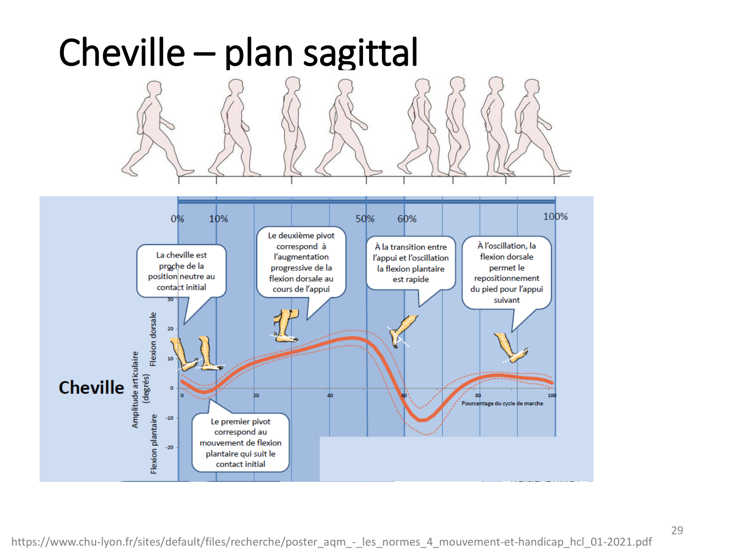 5-PhysiologieBiomecaniqueLocomotion-2026 page 29