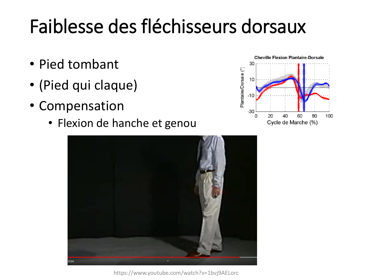 5-PhysiologieBiomecaniqueLocomotion-2026 page 32