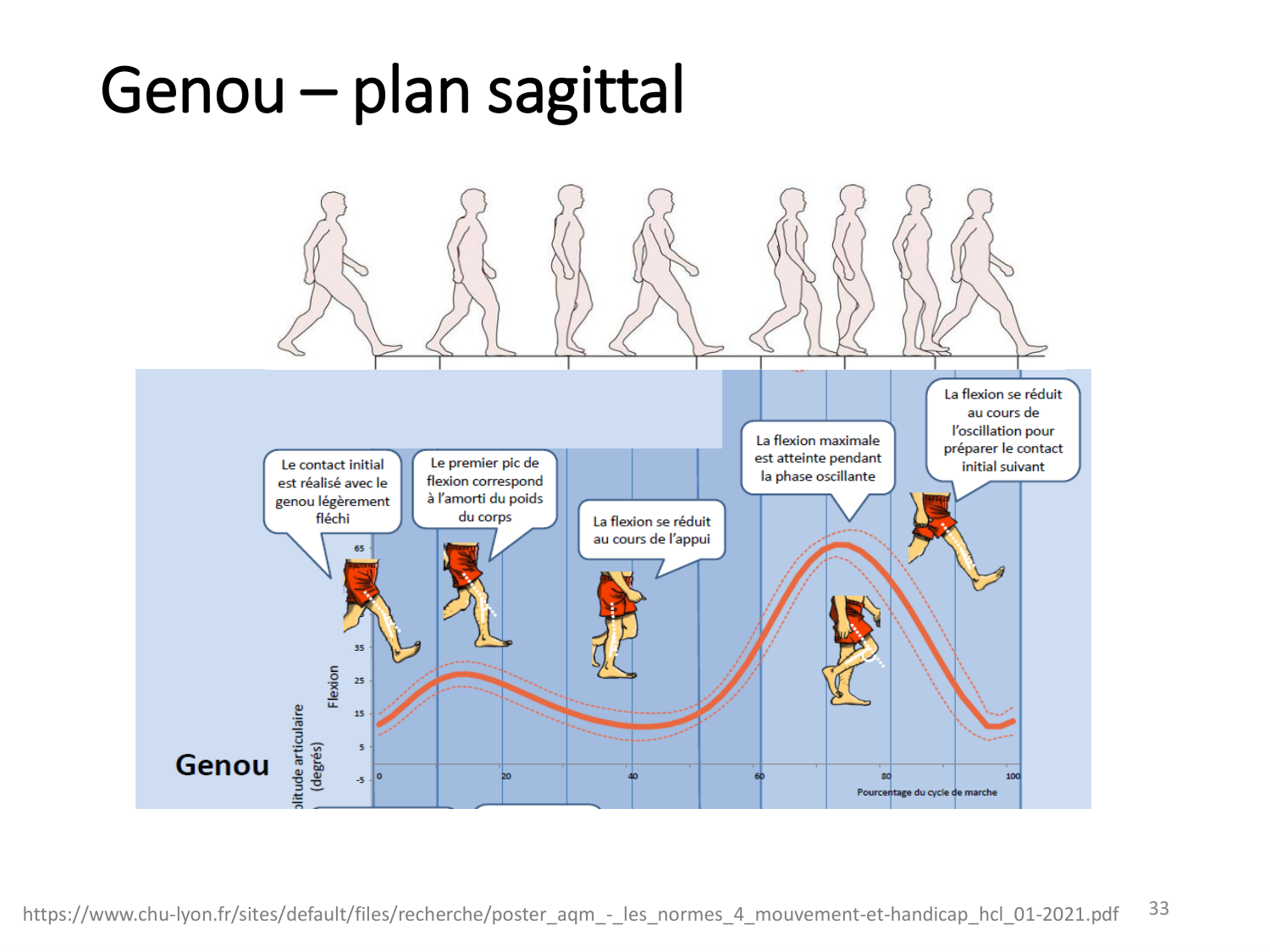 5-PhysiologieBiomecaniqueLocomotion-2026 page 33
