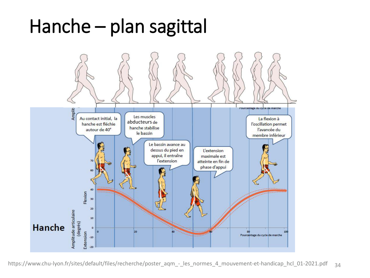 5-PhysiologieBiomecaniqueLocomotion-2026 page 34