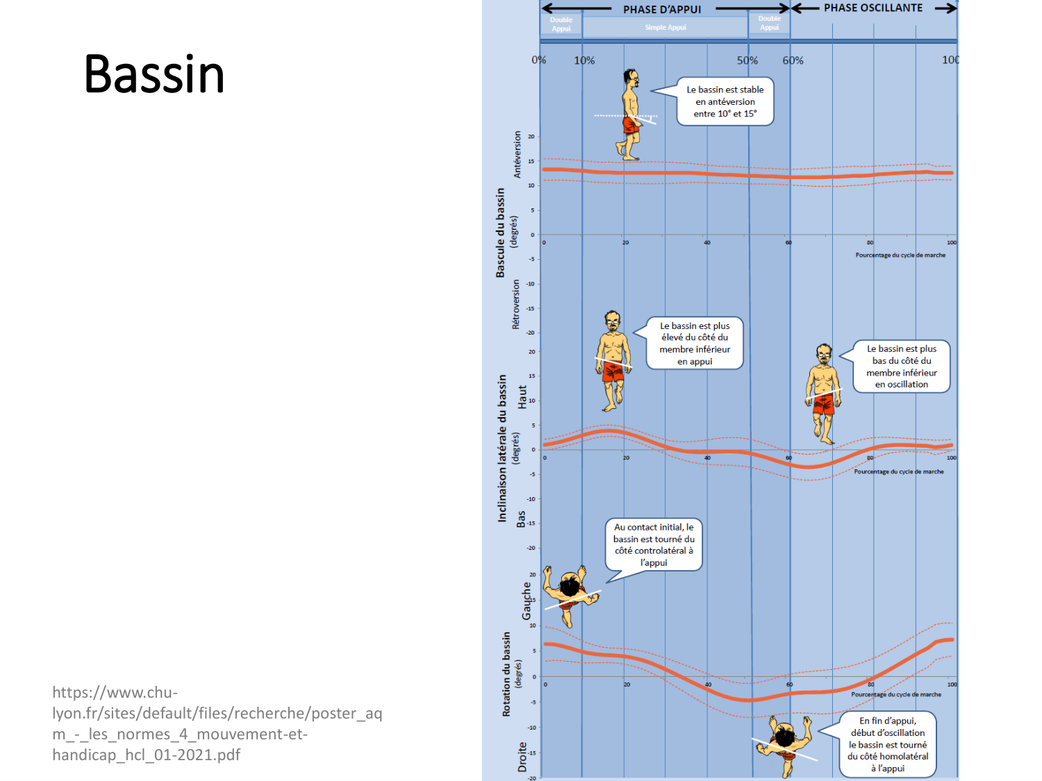 5-PhysiologieBiomecaniqueLocomotion-2026 page 35