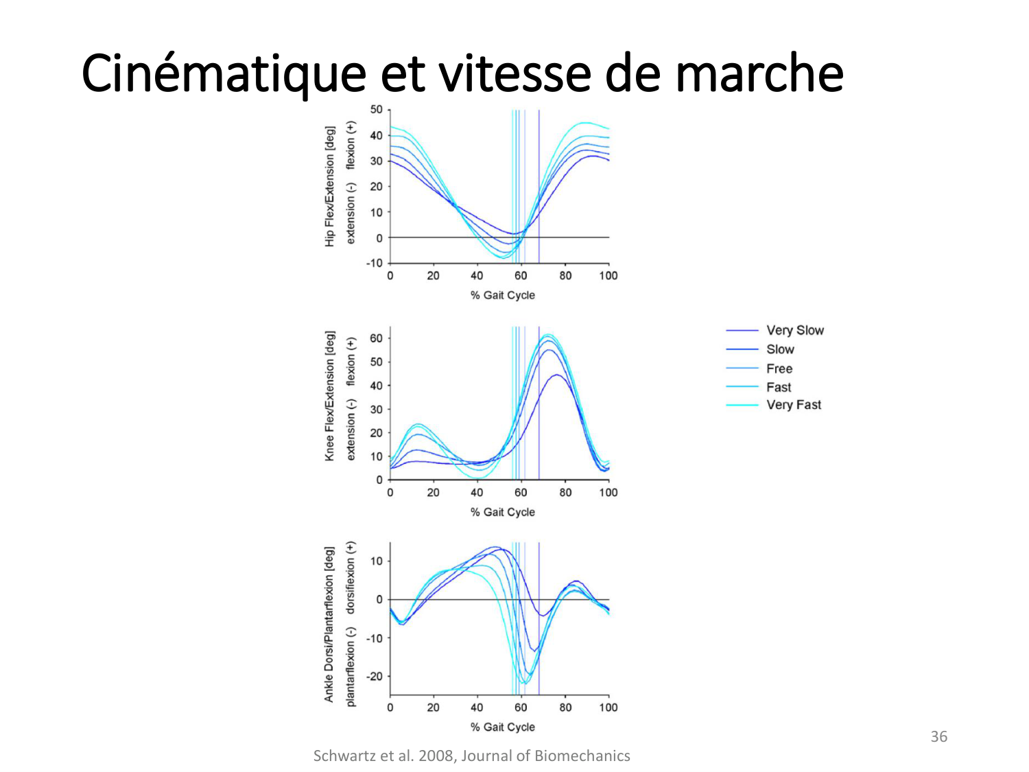 5-PhysiologieBiomecaniqueLocomotion-2026 page 36
