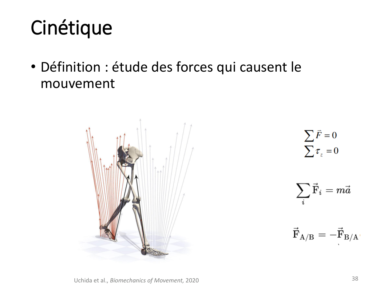 5-PhysiologieBiomecaniqueLocomotion-2026 page 38