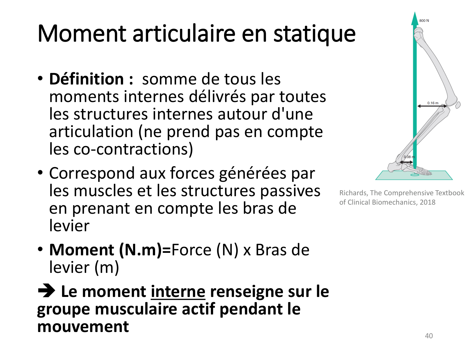 5-PhysiologieBiomecaniqueLocomotion-2026 page 40