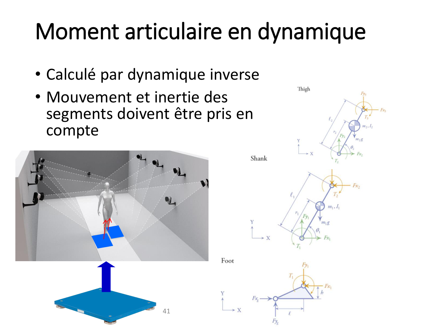 5-PhysiologieBiomecaniqueLocomotion-2026 page 41
