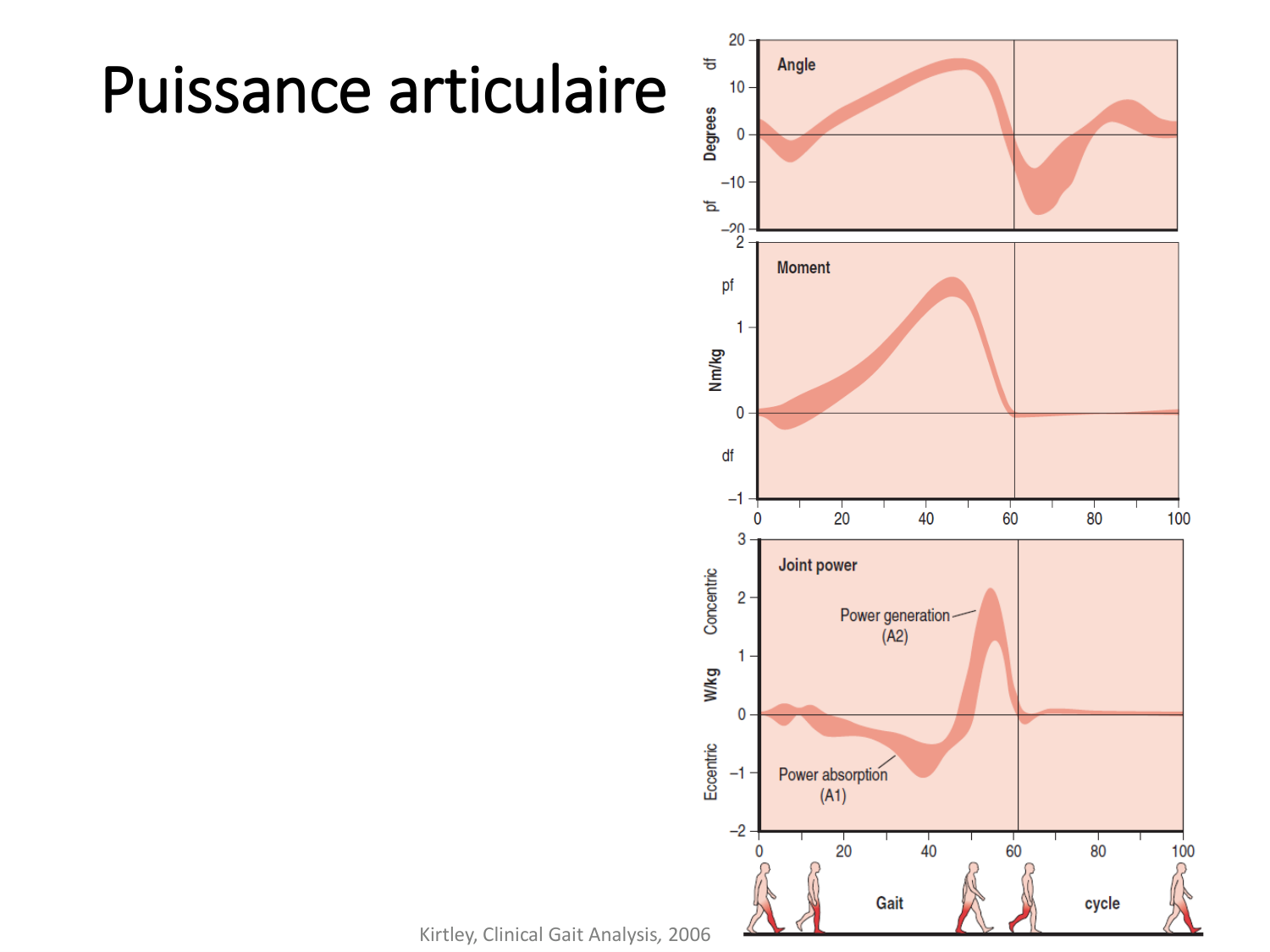 5-PhysiologieBiomecaniqueLocomotion-2026 page 43