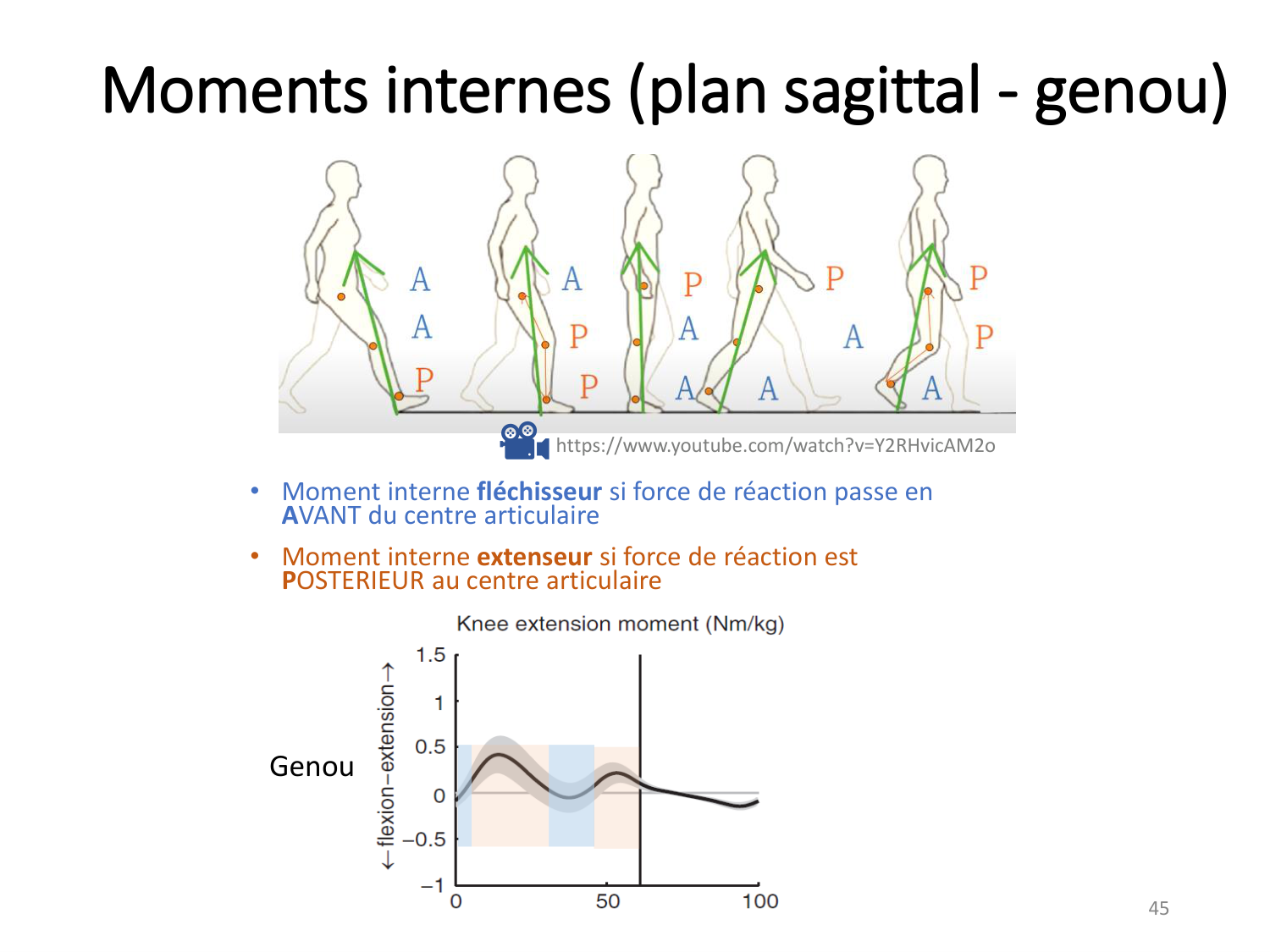 5-PhysiologieBiomecaniqueLocomotion-2026 page 45