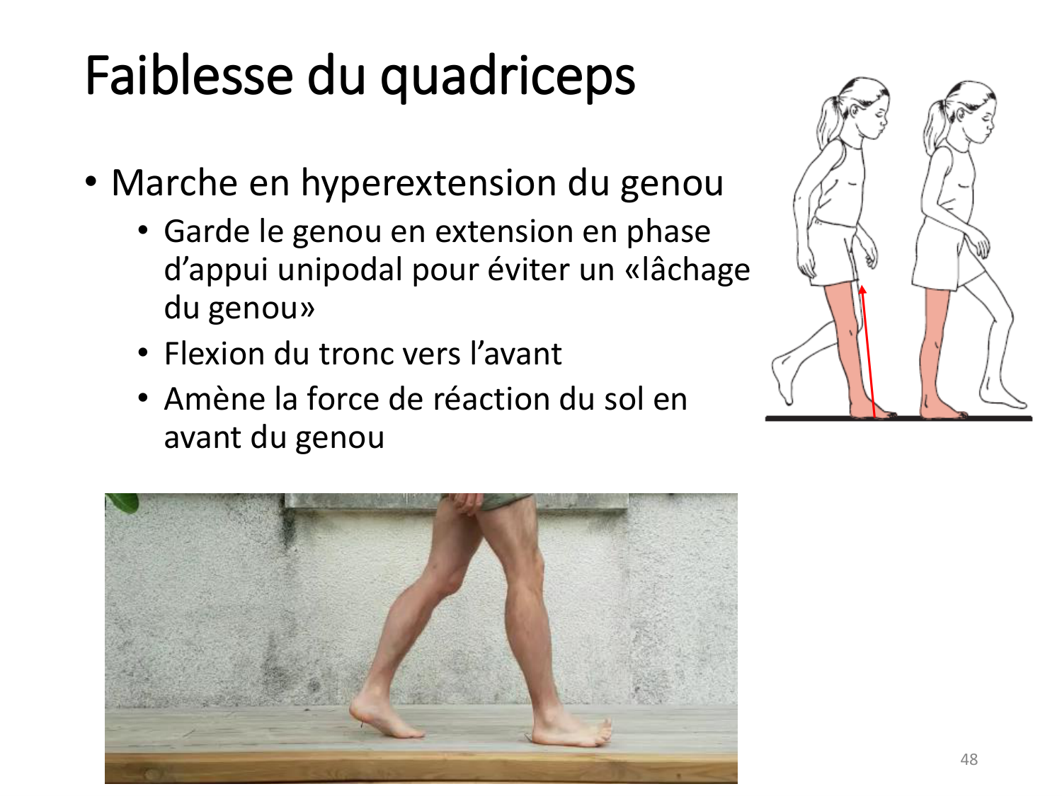 5-PhysiologieBiomecaniqueLocomotion-2026 page 47