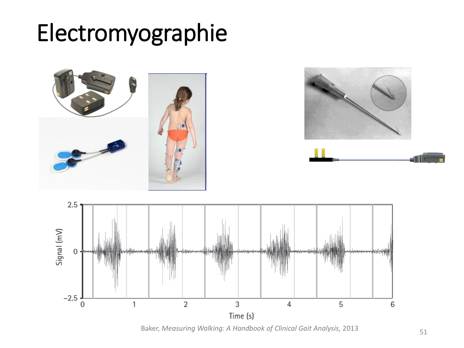 5-PhysiologieBiomecaniqueLocomotion-2026 page 50