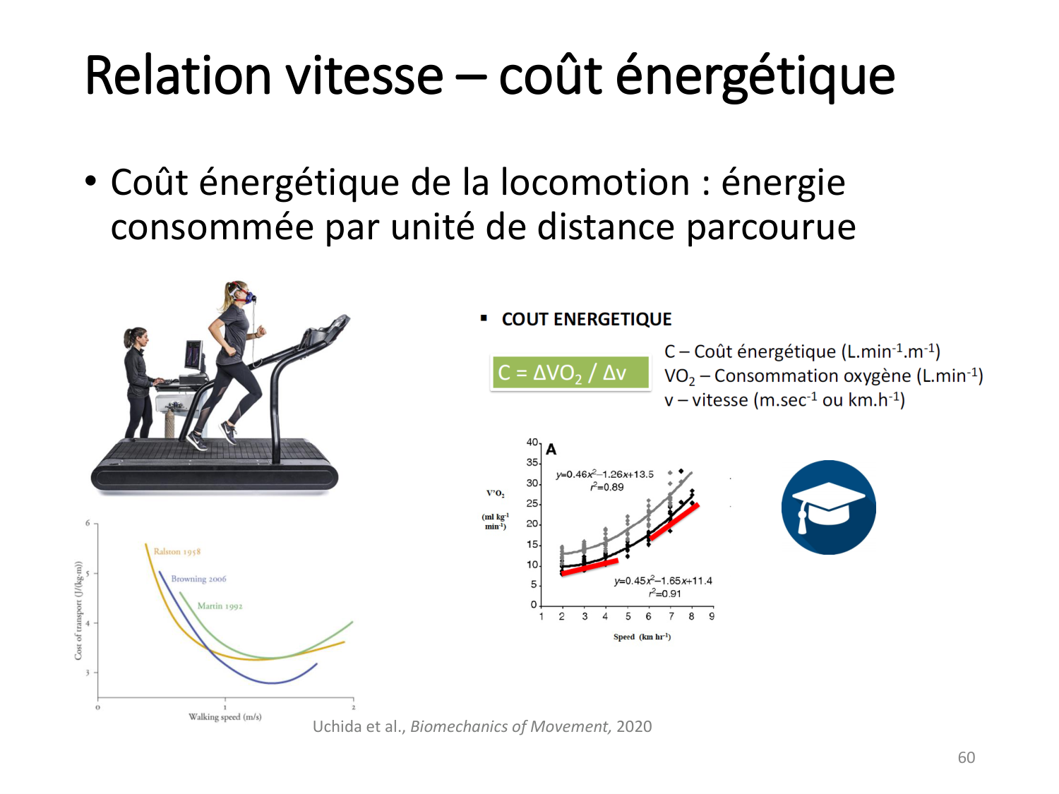 5-PhysiologieBiomecaniqueLocomotion-2026 page 59