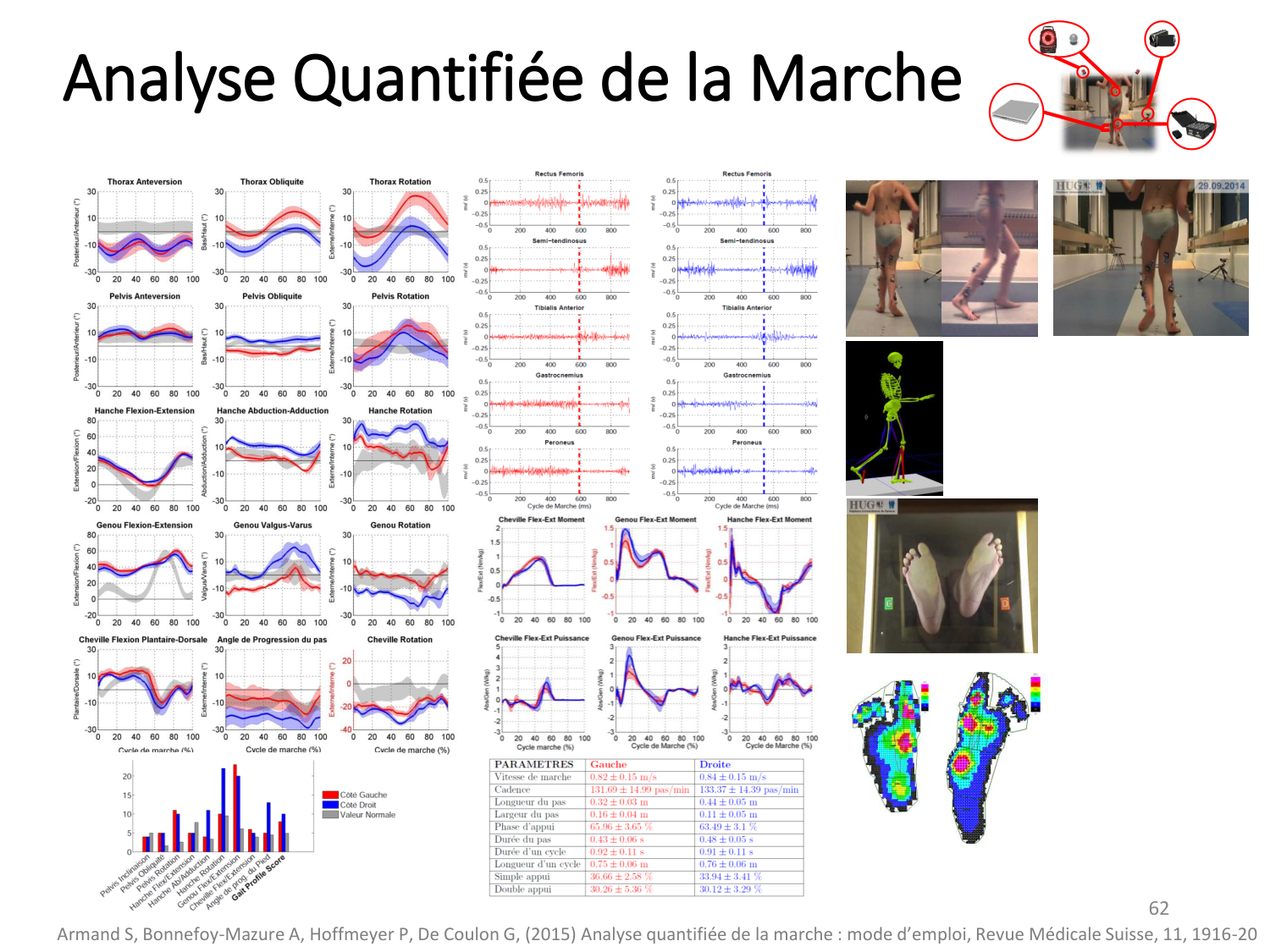 5-PhysiologieBiomecaniqueLocomotion-2026 page 61