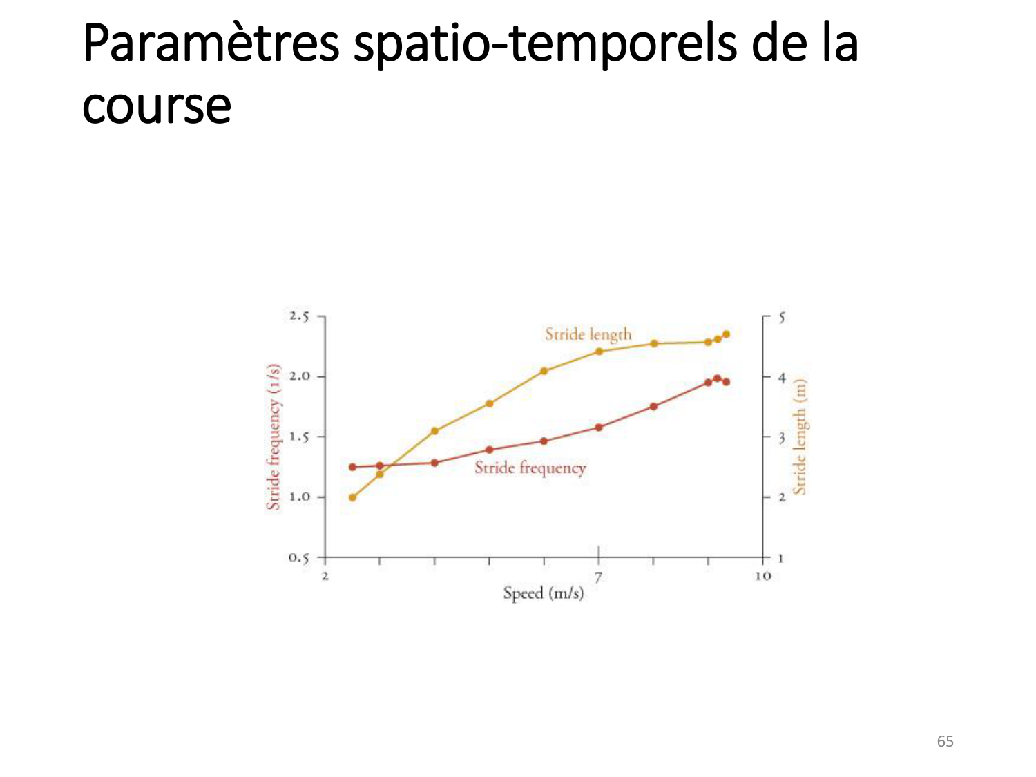 5-PhysiologieBiomecaniqueLocomotion-2026 page 64