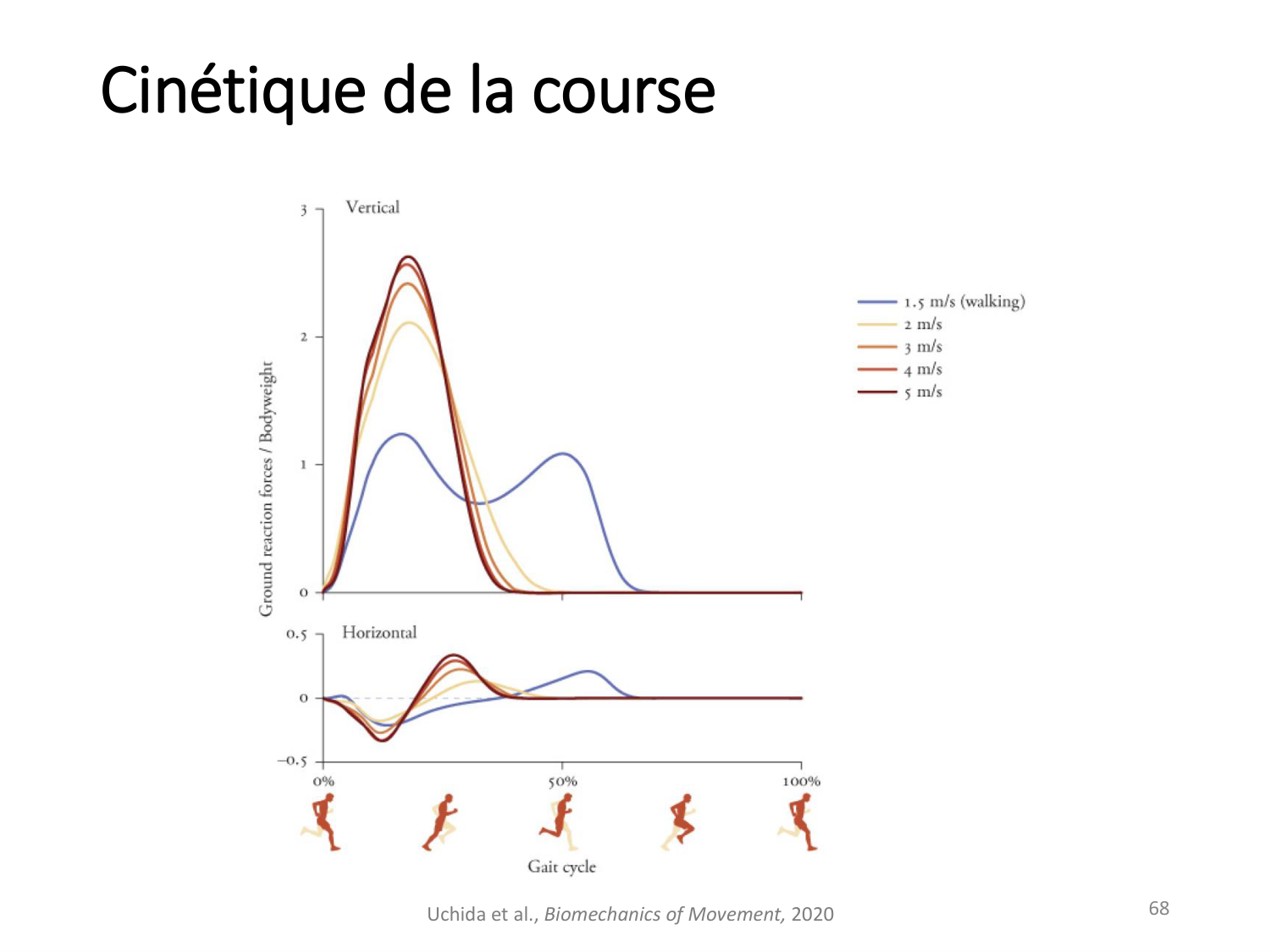 5-PhysiologieBiomecaniqueLocomotion-2026 page 67