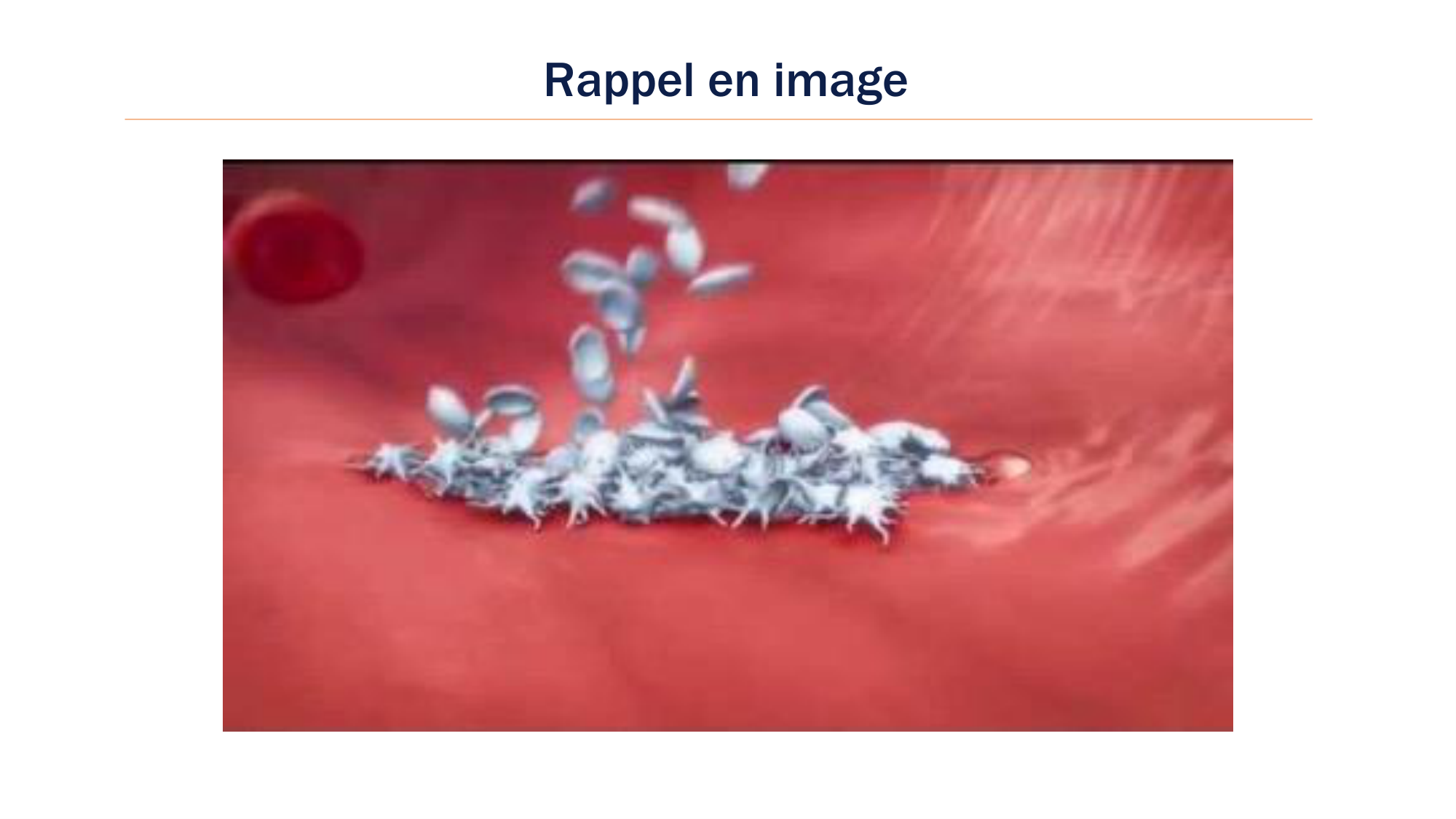 BA1 2026 maladie de lhémostase 3 page 7