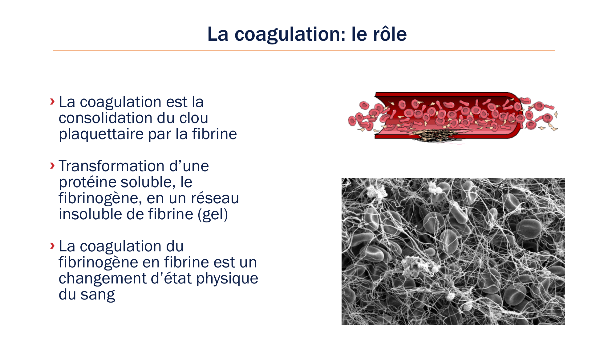 BA1 2026 maladie de lhémostase 3 page 12