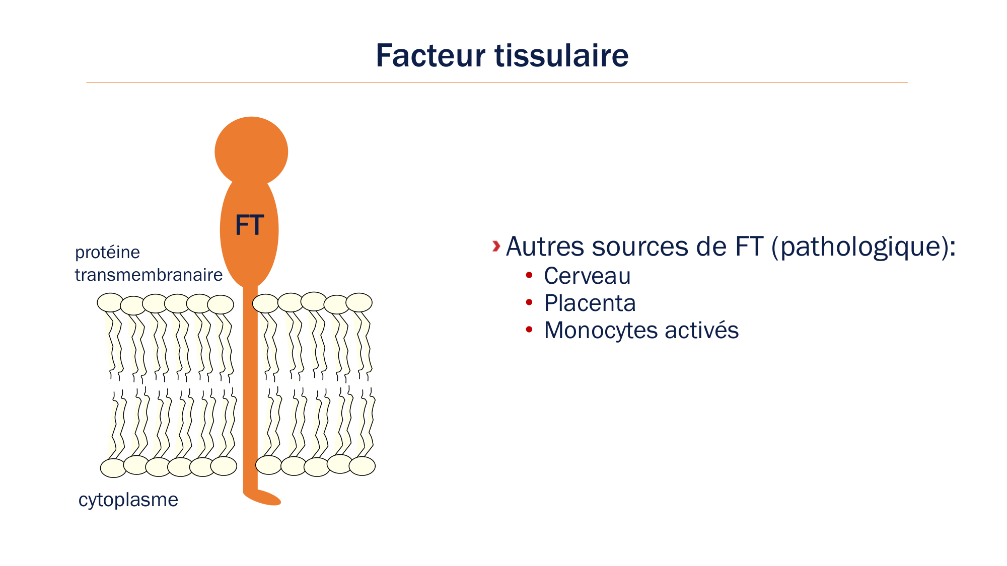 BA1 2026 maladie de lhémostase 3 page 16