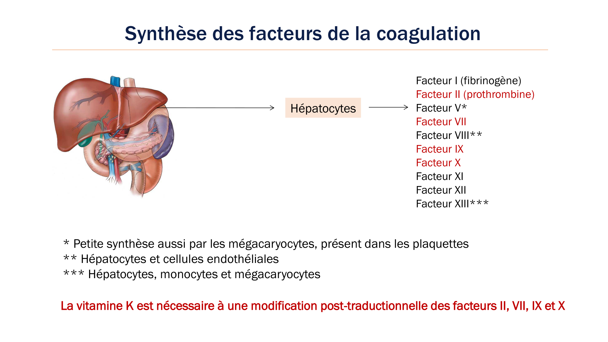 BA1 2026 maladie de lhémostase 3 page 19