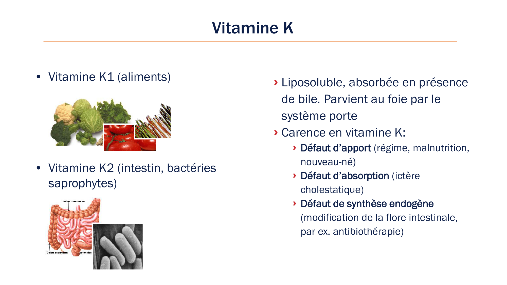 BA1 2026 maladie de lhémostase 3 page 20
