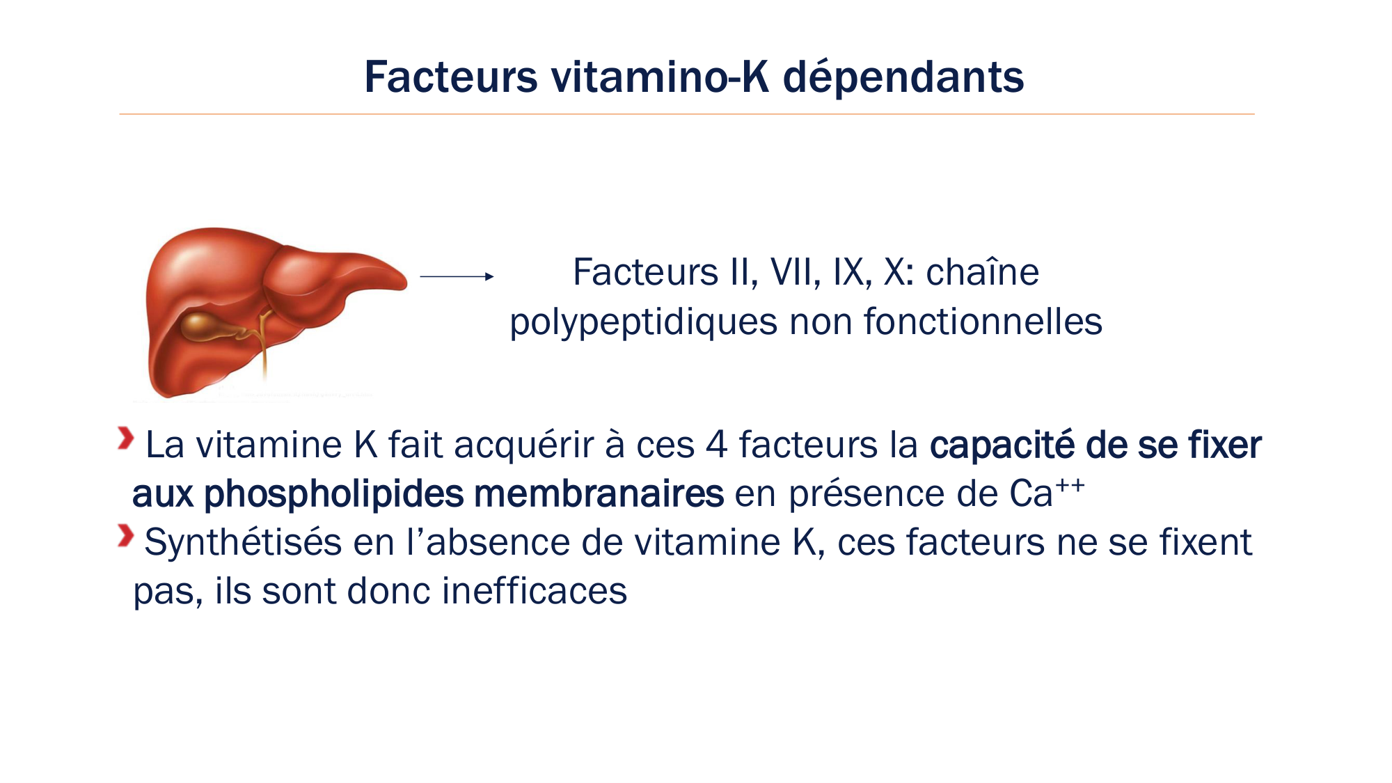 BA1 2026 maladie de lhémostase 3 page 21