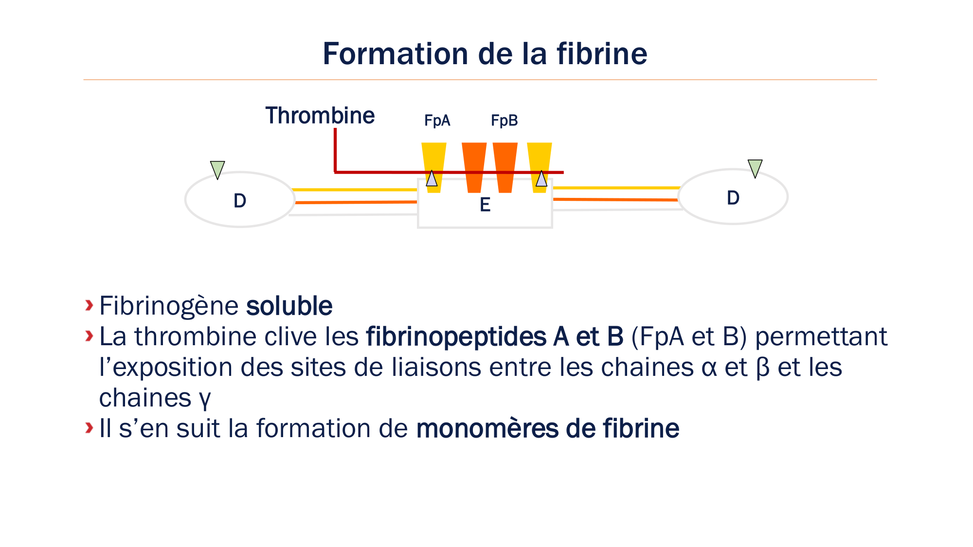 BA1 2026 maladie de lhémostase 3 page 37