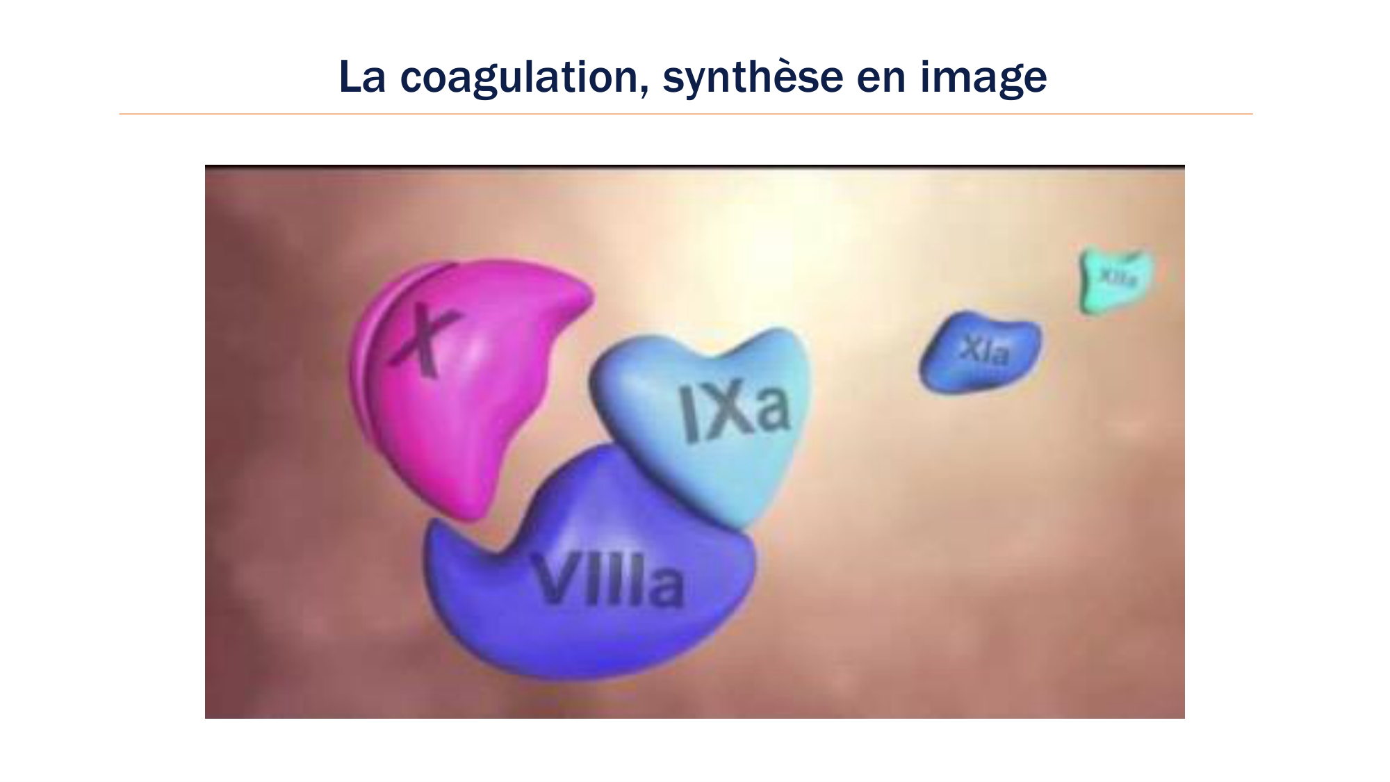 BA1 2026 maladie de lhémostase 3 page 39