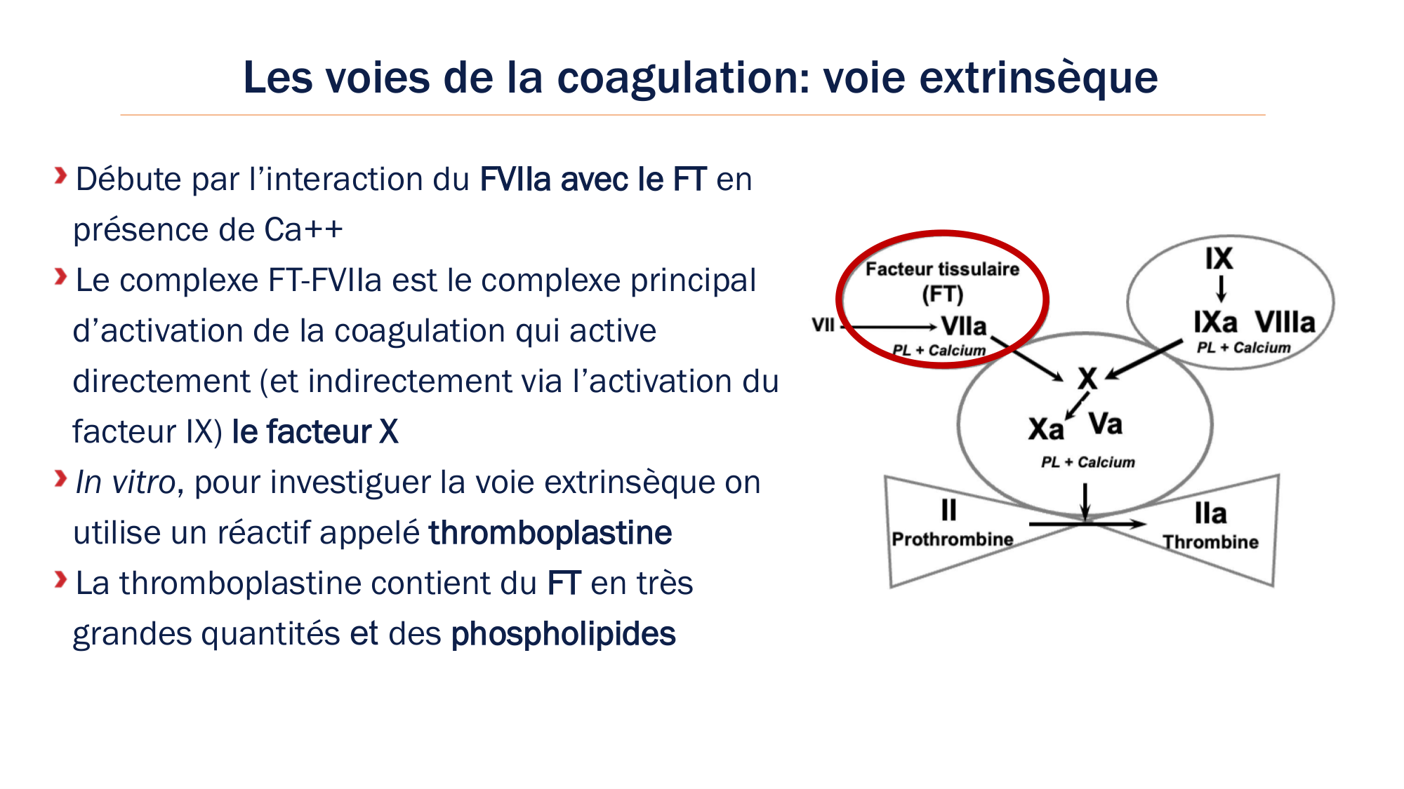 BA1 2026 maladie de lhémostase 3 page 53
