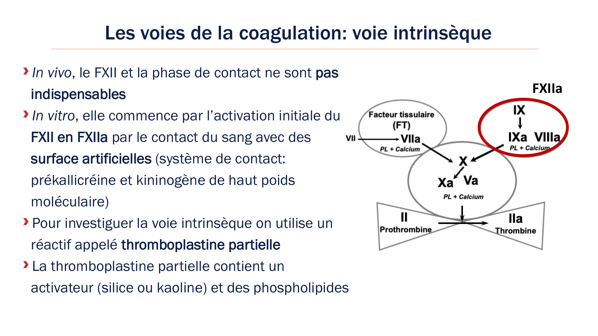 BA1 2026 maladie de lhémostase 3 page 54